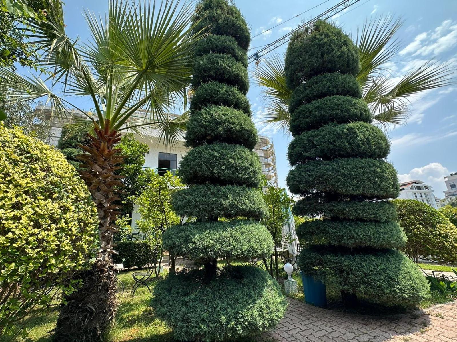 A-Vila Golem  Exterior foto