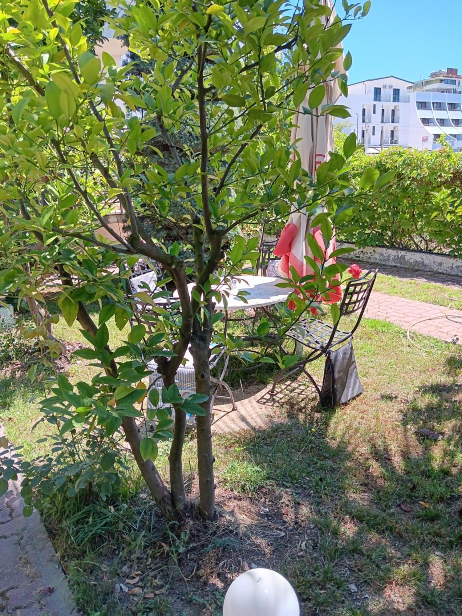 A-Vila Golem  Exterior foto